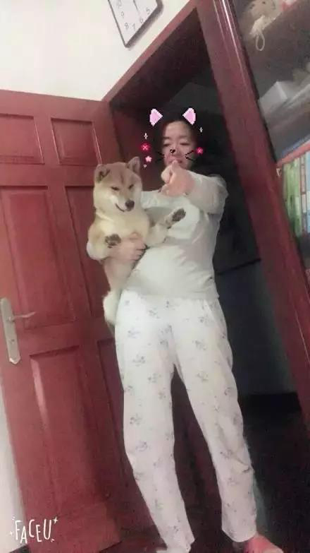 軟板廠之爸媽，我真的是你們親生的嗎？