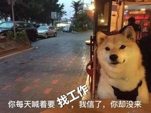 招聘 | 這是一道送錢題，有膽你就來！